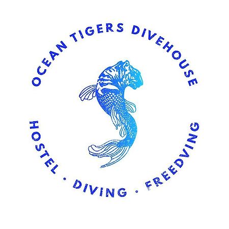 Ocean Tigers Dive House Hostel Cabo San Lucas Exterior photo