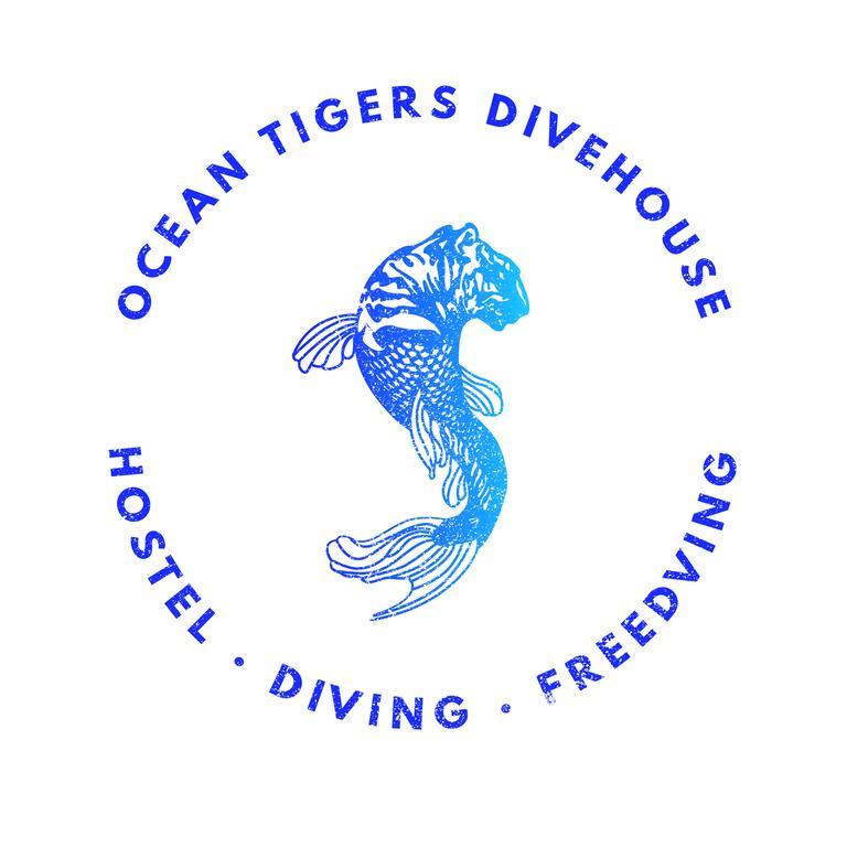 Ocean Tigers Dive House Hostel Cabo San Lucas Exterior photo